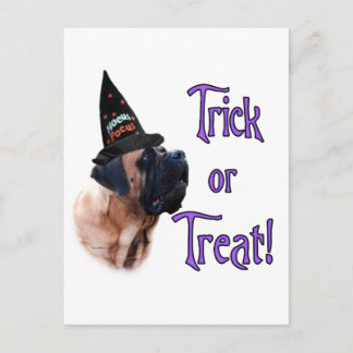 Cartão Postal do Truque do Mastim Albaricoque