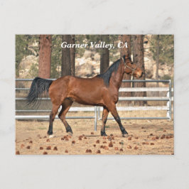 Cartão postal do Vale do Garner