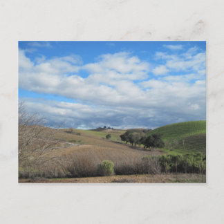 Cartão postal do Vinhedo Paso Robles em Janeiro