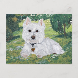 Cartão Postal do Westie