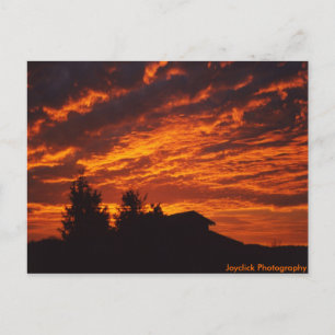 Cartão postal do Winter Sunrise
