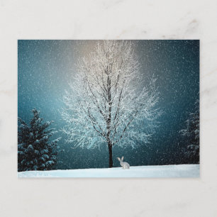 Cartão postal do Winter Wonderland