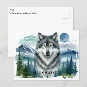Cartão postal do Wolf Yellowstone
