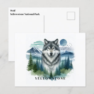 Cartão postal do Wolf Yellowstone