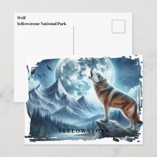Cartão postal do Wolf Yellowstone