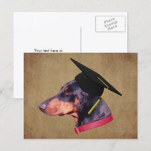 Cartão Postal Doberman Com Capelo De Formatura Cachorro Engraçad