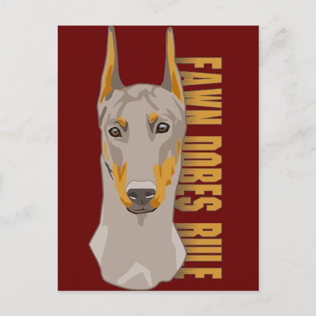 Cartão Postal Doberman Head, Fawn Dogs Rule (Frente)