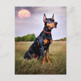 Cartão Postal Doberman Pinscher