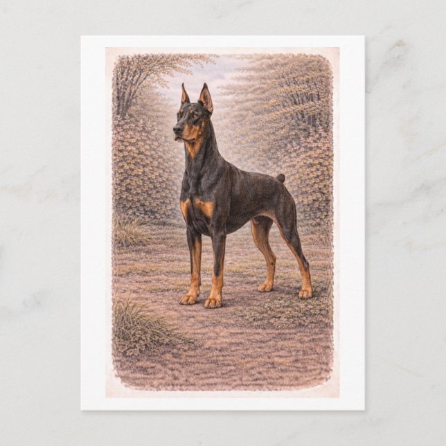 Cartão Postal Doberman Pinscher ao estilo retrô (Frente)