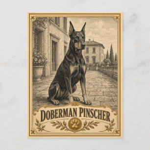 Cartão Postal Doberman Pinscher, Cachorro Antigo de Herança