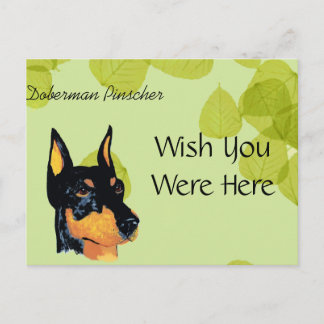 Cartão Postal Doberman Pinscher ~ Verde Deixa Design