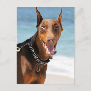Cartão Postal Doberman - Vermelho - Ruim ao Osso