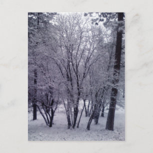 Cartão Postal Dobra