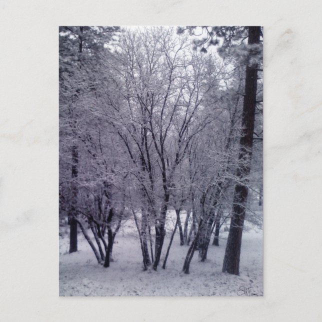 Cartão Postal Dobra (Frente)