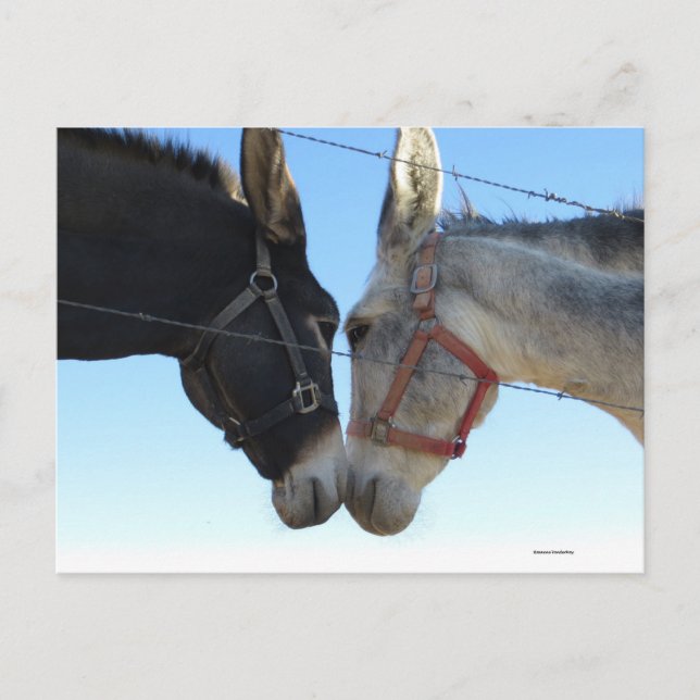 Cartão Postal Dobra Por Aí (Frente)