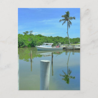 Cartão Postal Dobre A Beleza