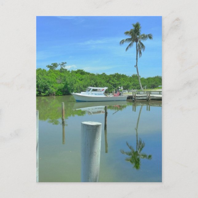 Cartão Postal Dobre A Beleza (Frente)