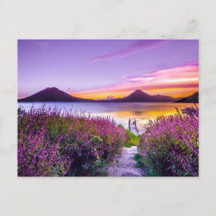 Cartão Postal doca de madeira castanha entre campo de flores de