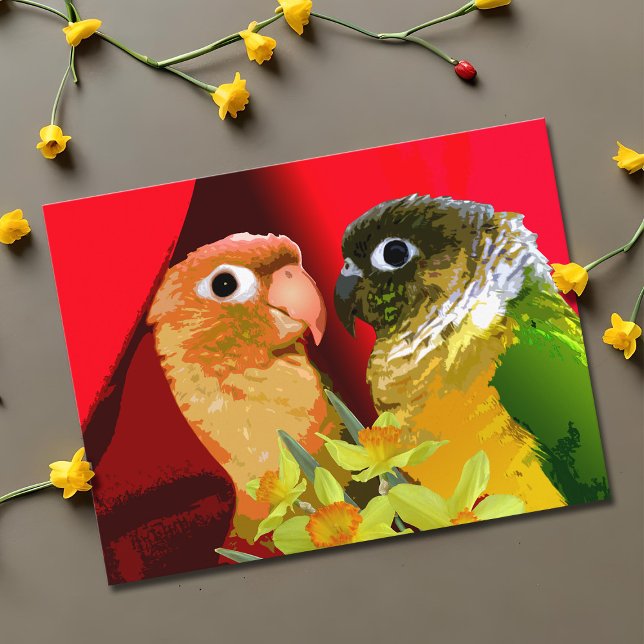 Cartão Postal Doce Conure de Bochecha Verde Parakeets Apaixonado (Sweet green cheek conure couple valentine postcard)