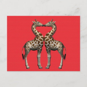 Cartão Postal Doce Girafas Casal Apaixonado