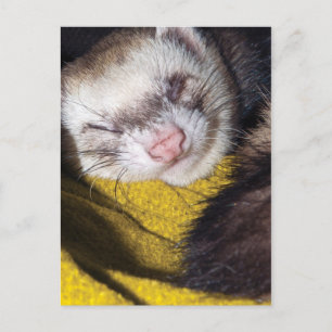 Cartão Postal Doces Sonhos