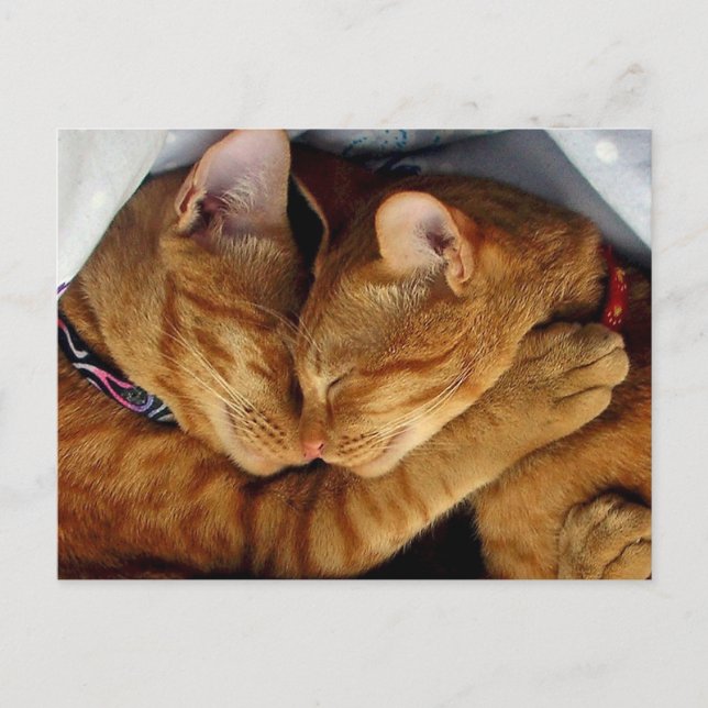 Cartão Postal Doces Sonhos (Frente)