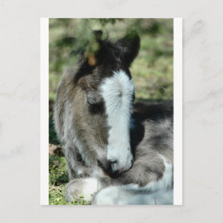 Cartão Postal Doces Sonhos