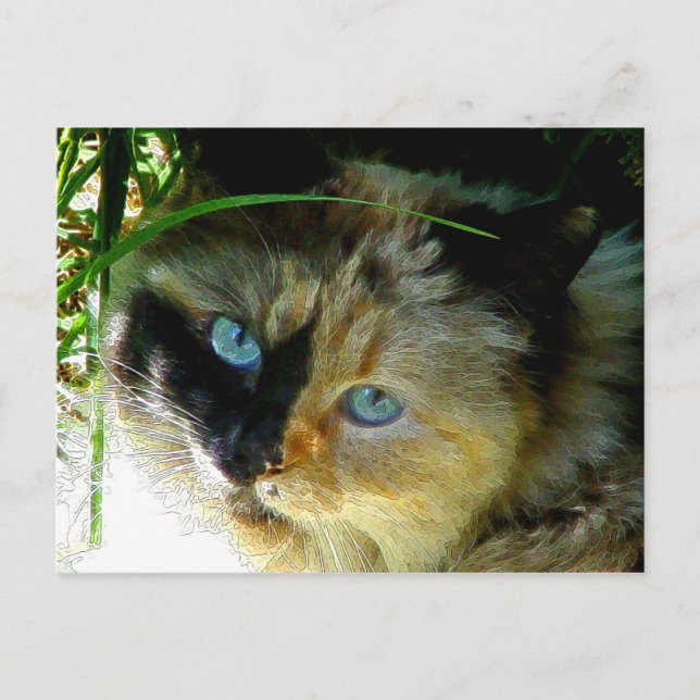 Cartão Postal Docinho (Frente)