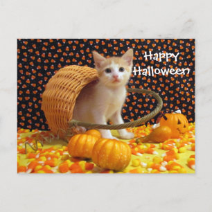 Cartão Postal Docinho de Halloween da Annie / Cartão-postal de K