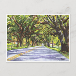 Cartão Postal Docville Oaks