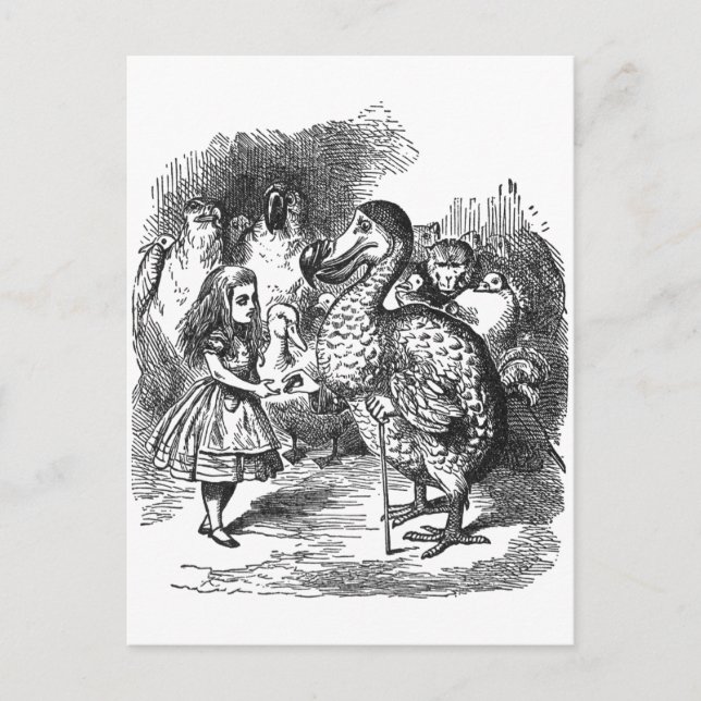 Cartão Postal Dodo (Frente)