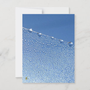 Cartão Postal Doente, Meditativo, Largura Azul