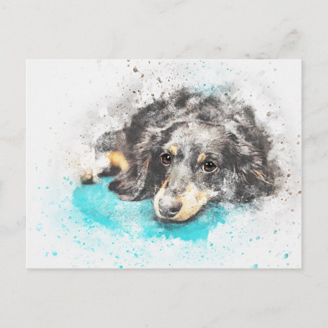 Cartão Postal dog-2719601_1920 (Frente)