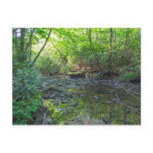 Dog Slaughter Creek, Kentucky