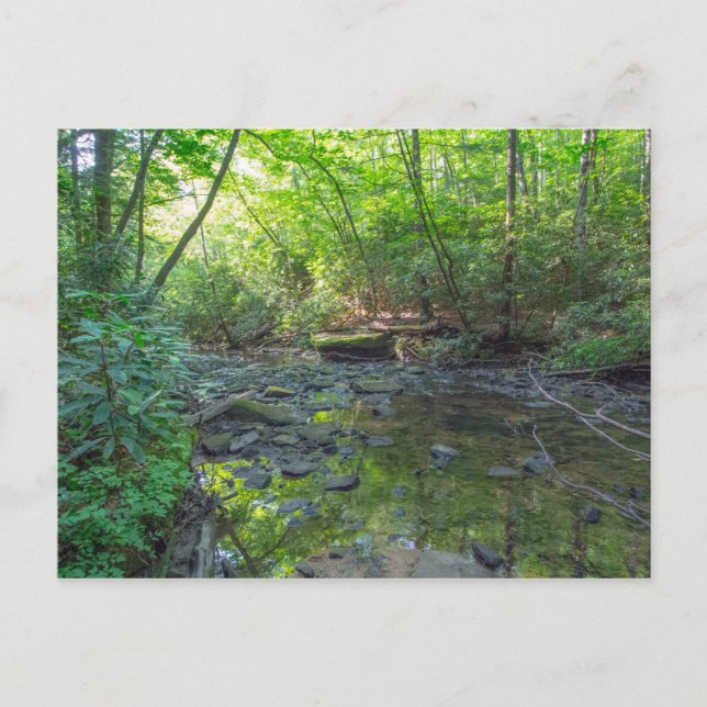 Cartão Postal Dog Slaughter Creek, Kentucky (Frente)