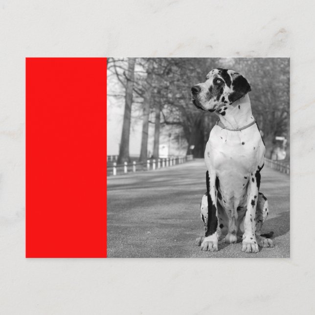 Cartão Postal Doggenhaus (Frente)