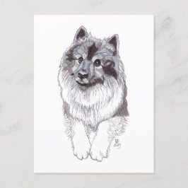 Cartão postal Doggust 2019 Keeshond