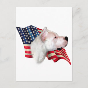 Cartão Postal Dogo Argentino Flag