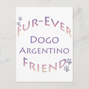 Cartão Postal Dogo Argentino Fuere