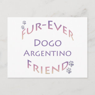 Cartão Postal Dogo Argentino Para Sempre