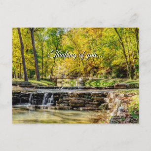 Cartão Postal Dogwood Creek Pensando Em Você