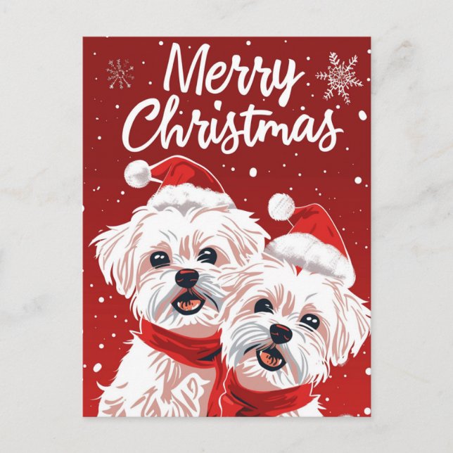 Cartão Postal Dois Bichon Frise Feliz Natal (Frente)