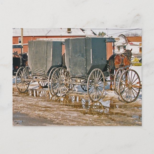 Cartão Postal Dois Buggies no Puddle (Frente)