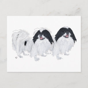 Cartão Postal Dois Cães Japoneses Chin