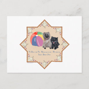Cartão Postal Dois Cairn Terriers Conchas Marinhas