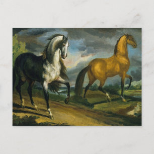 Cartão Postal Dois Cavalos 1808