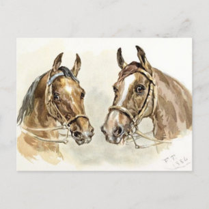 Cartão Postal Dois Cavalos de "Estudos em Pintura Animal"