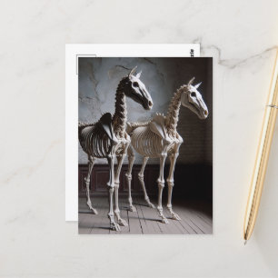 Cartão Postal Dois Cavalos Esqueletais