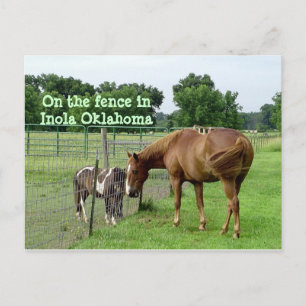 Cartão Postal Dois Cavalos, na cerca em Inola Oklahoma