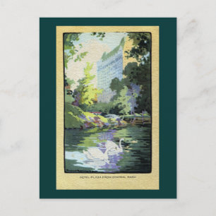 Cartão Postal Dois Cisnes no Lago Central Park